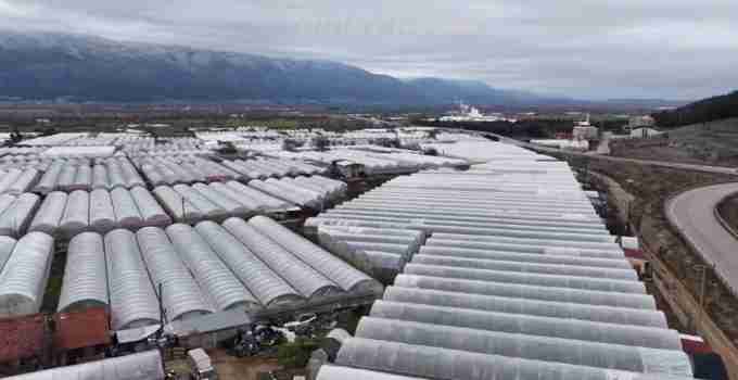 Simav Eynal’da Seralarda Don Nöbeti