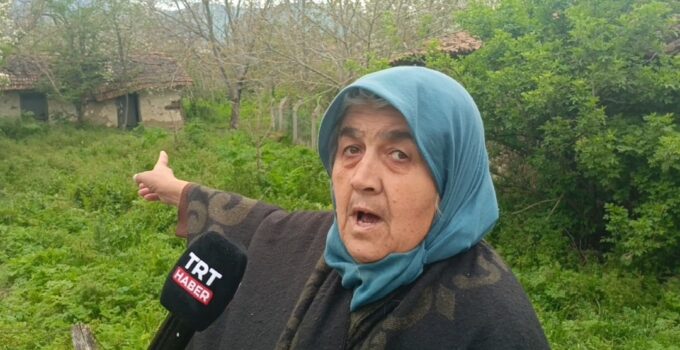 Simav’da Ayı Paniği! Köyde Korku Dolu Geceler Yaşanıyor!!