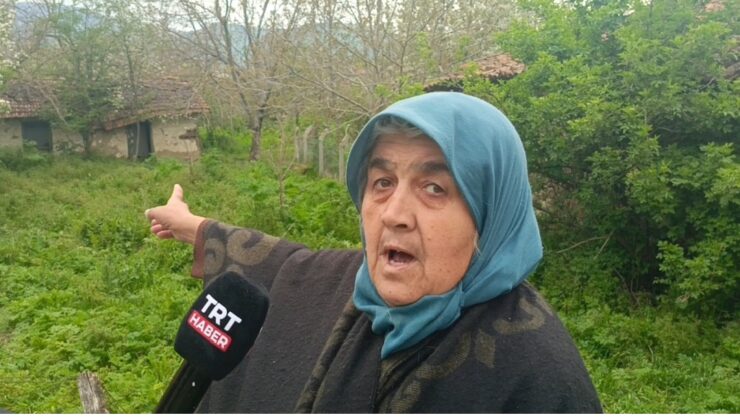 Simav’da Ayı Paniği! Köyde Korku Dolu Geceler Yaşanıyor!!
