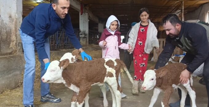 Kütahya Simav’a bağlı Karacahisar Köyü’nde nadir görülen bir olay yaşandı.